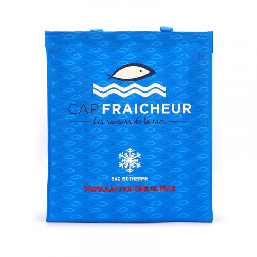 Non woven cooler bag supplier