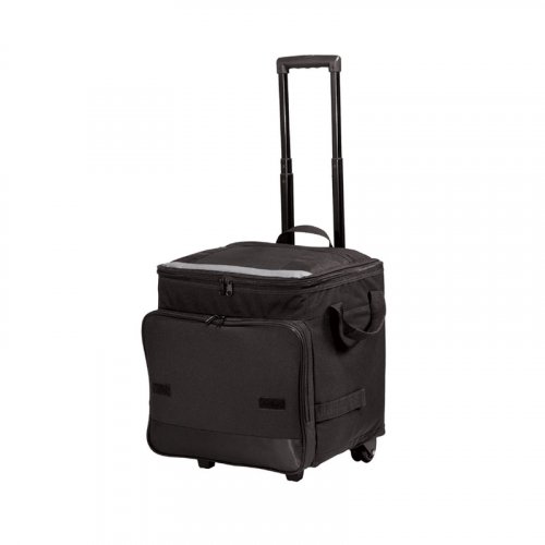 Express cooler bag