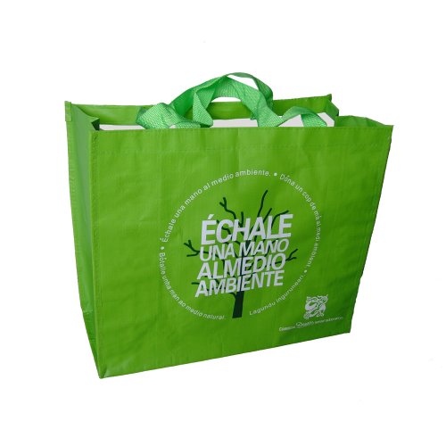 Merchandise PP woven handbag