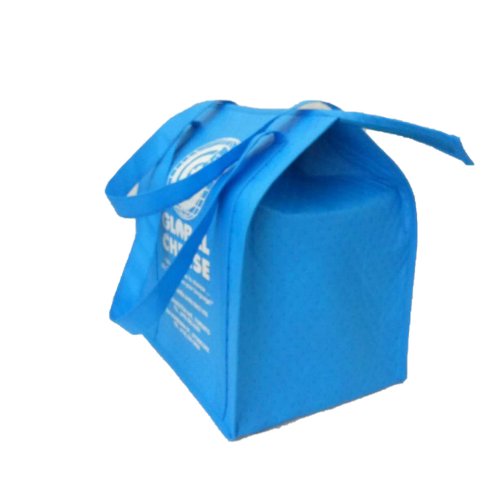 Oekotex 100 OEM Production Recyclable cooler bag