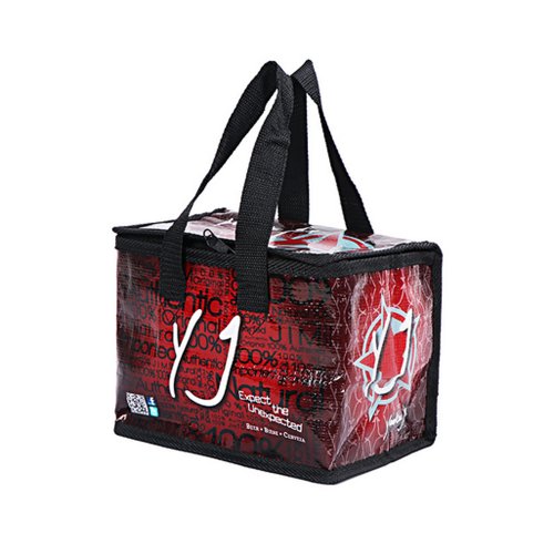 PP woven ice cooler insulated bag