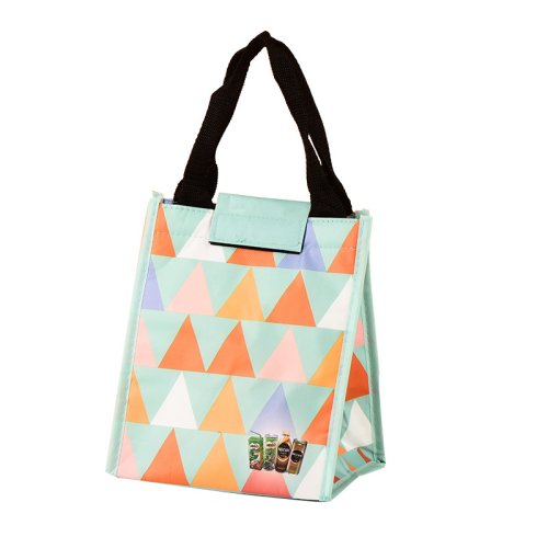 Disposable delivery lunch cooler bag